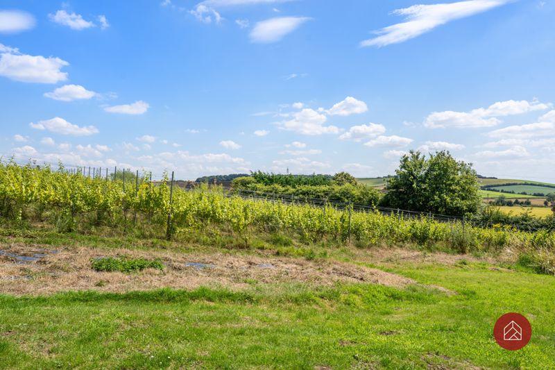 Rear Garden View