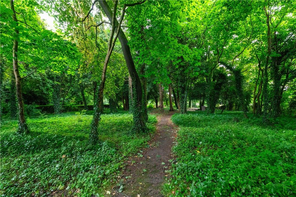 Woodland