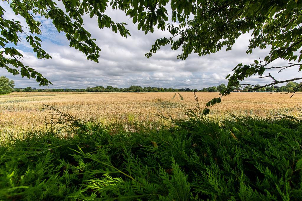 Pheasantsview-10.jpg