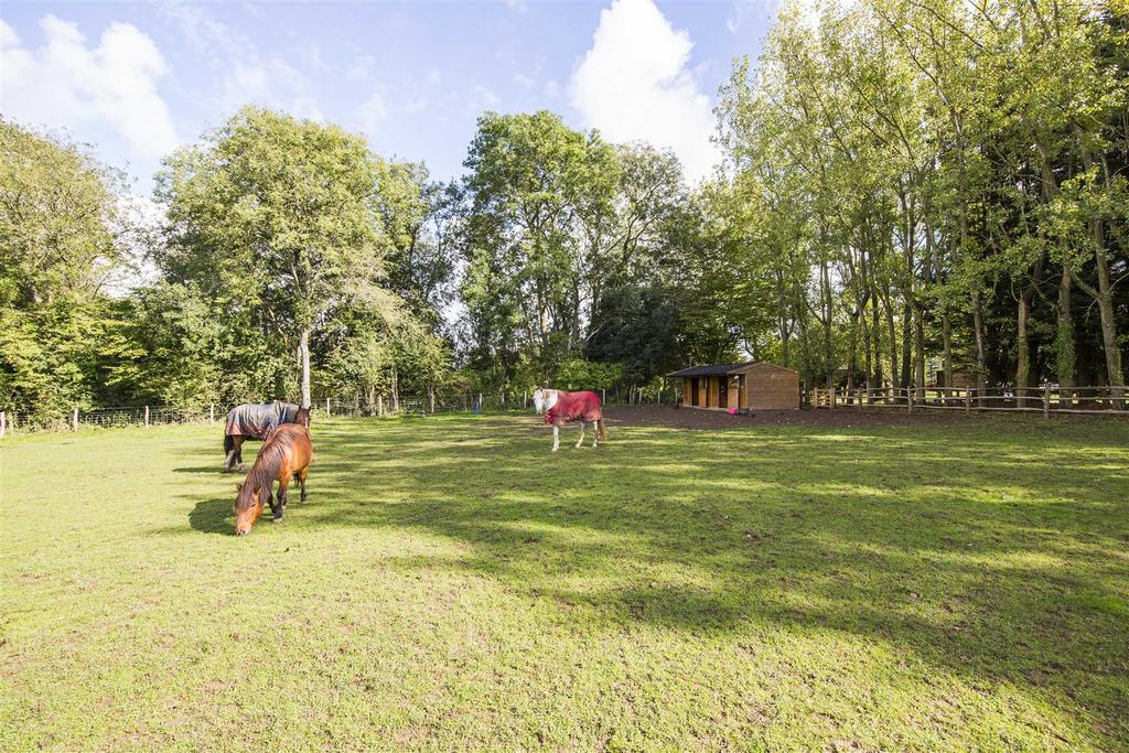 Stables &amp; Paddock