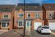 Mallard close (30 of 30).jpg