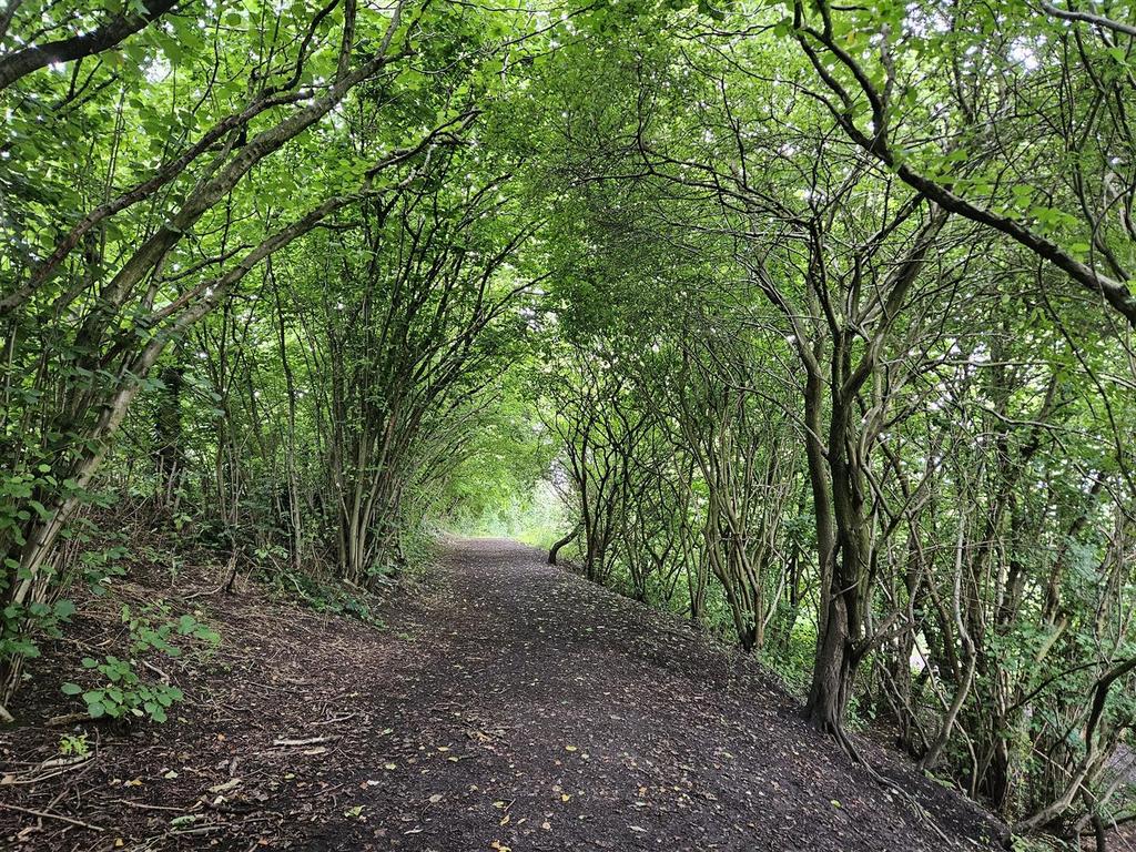 Path.jpg