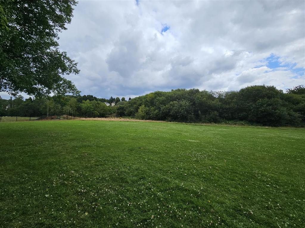 Field 2 .jpg