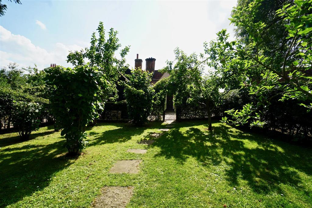 Orchard