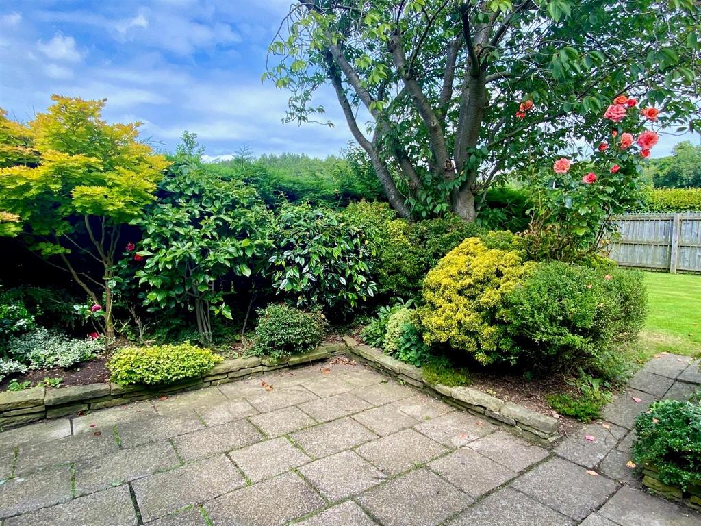 Rear patio 1.jpg