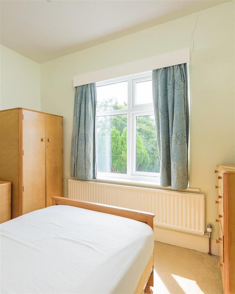 P8.jpg
