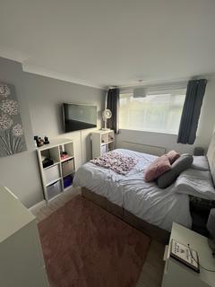 3 bedroom semi-detached house to rent, Ipswich IP1