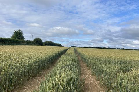 Farm land to rent, North Newbald, Market Weighton