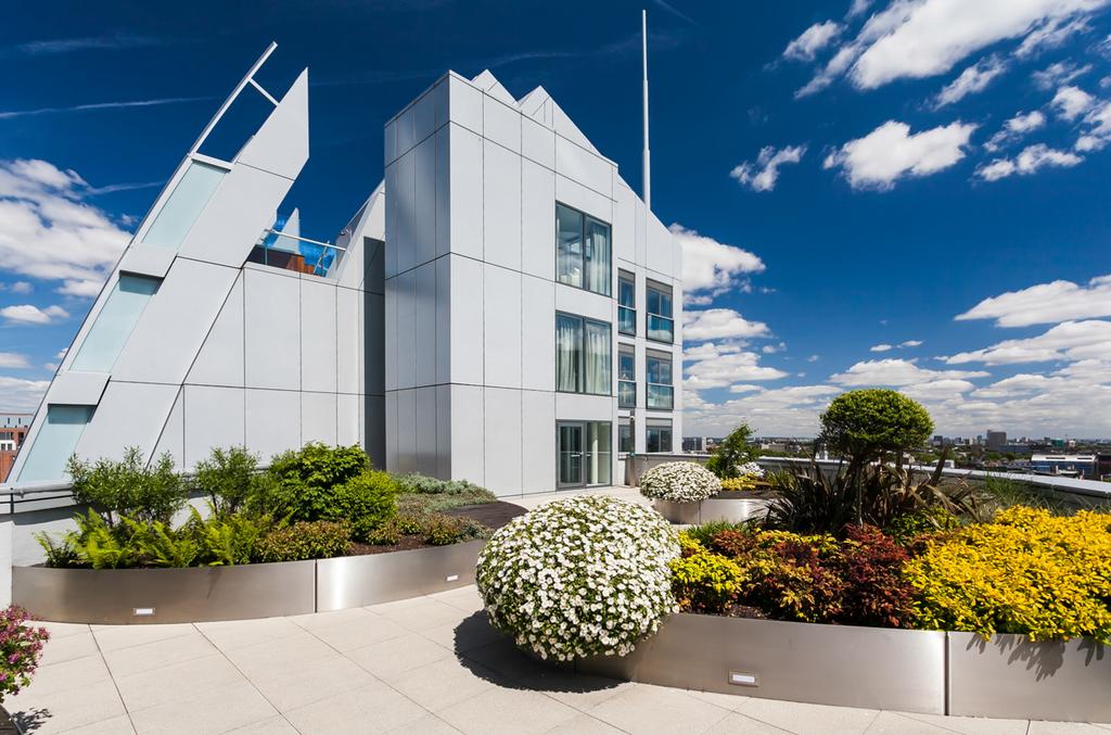 Roof Terrace