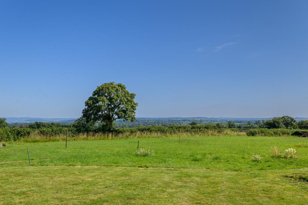 TEK Hi Res 240719 042