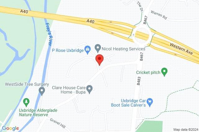 Google Maps Image