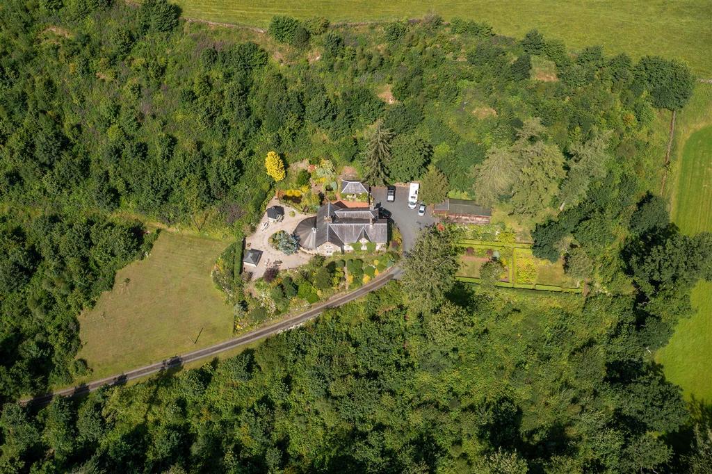 DJI 0180.jpg