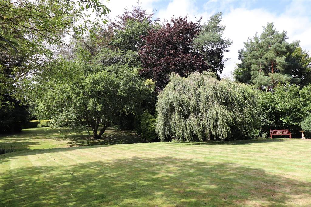 Stunning Rear Garden