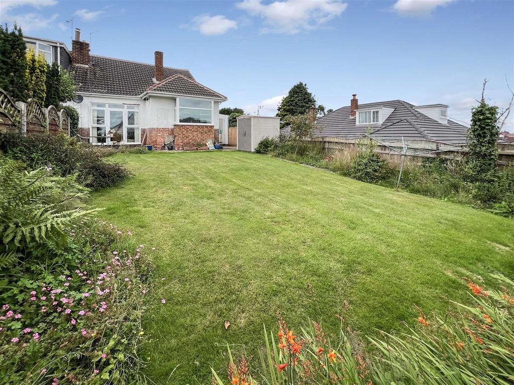 Img 1435.jpg