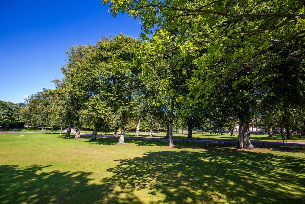 Aberdeen Westburn Park trees and open green space