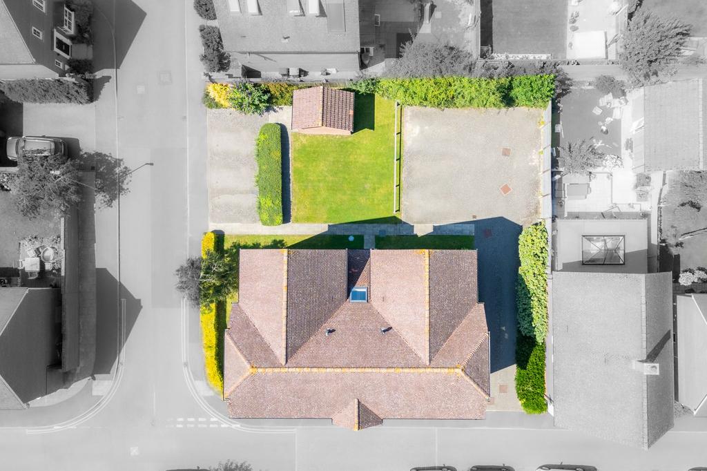 Birds Eye View