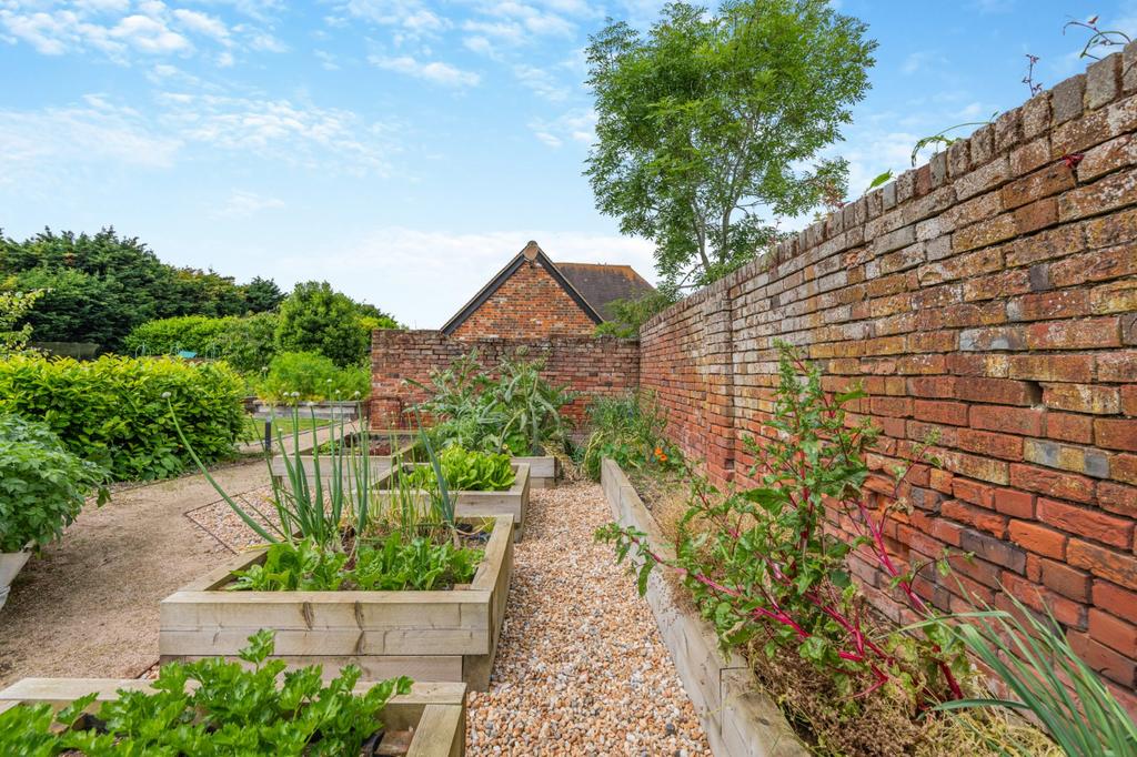 Vegetable Garden