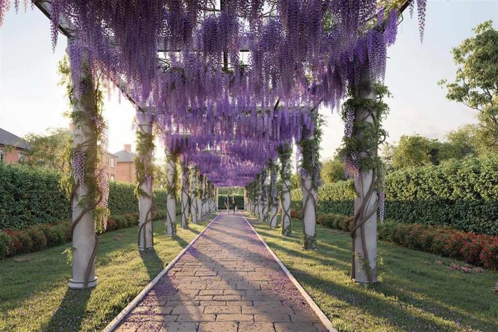 Wisteria Walk