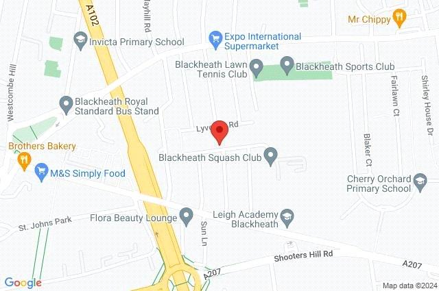 Google Maps Image