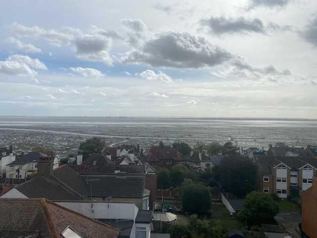 Lounge View From