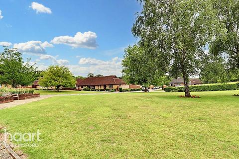 undefined, Alexander Mews, Chelmsford