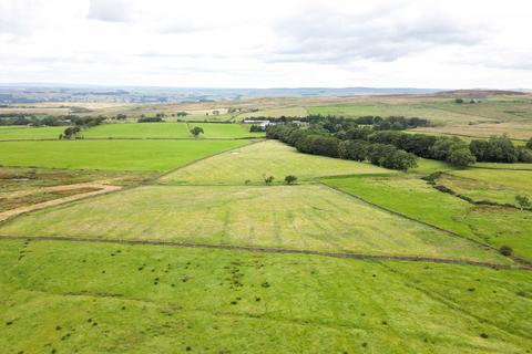 Land for sale, Coanwood