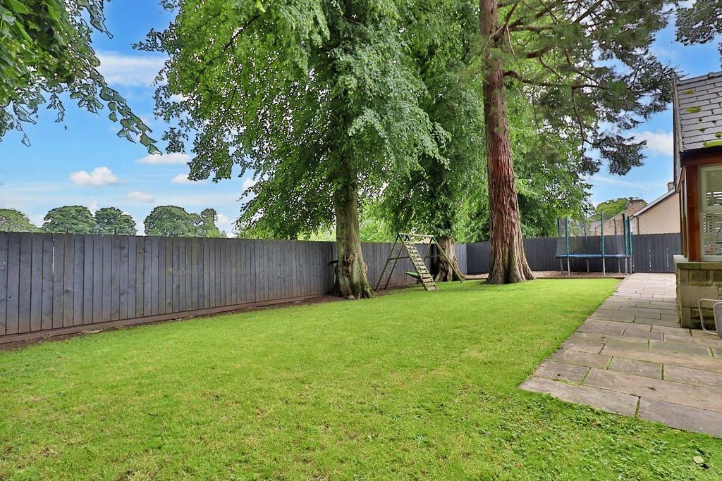 Rear garden II