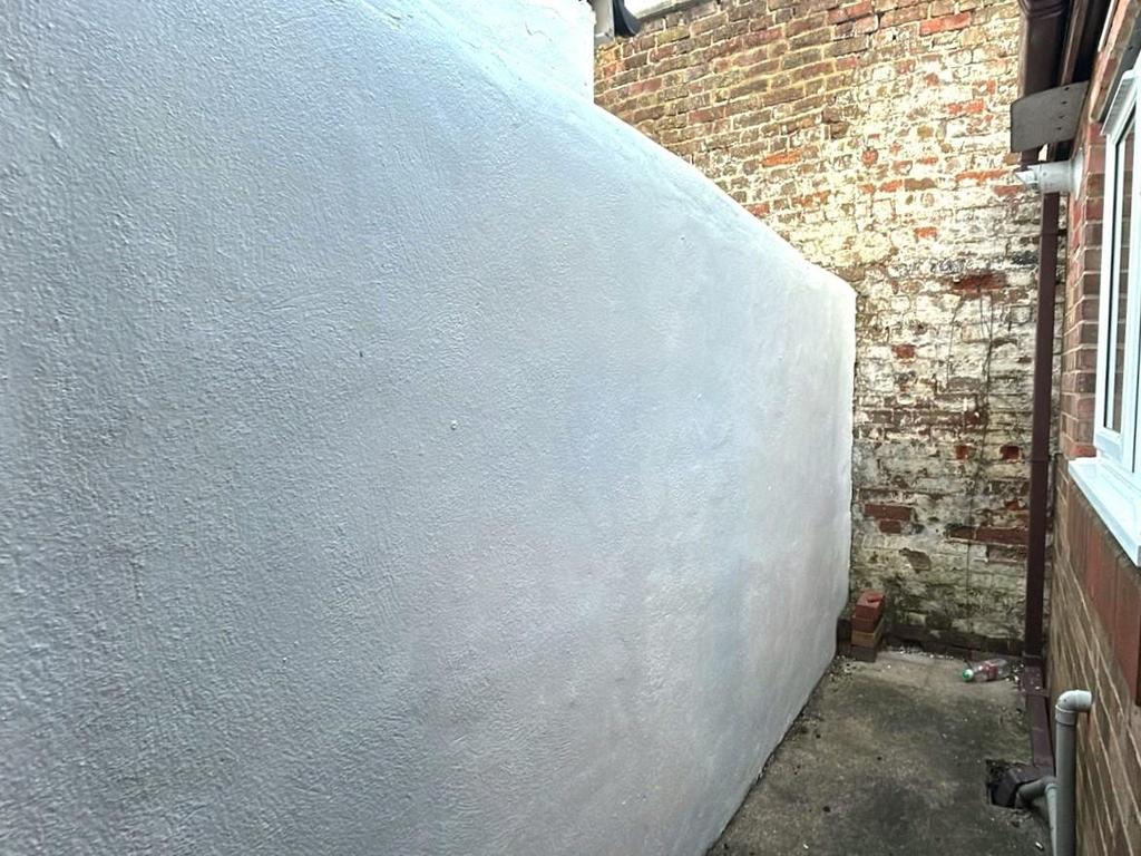 Rear Yard 3.jpeg