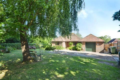 3 bedroom detached bungalow for sale, Dixter Lane, Northiam