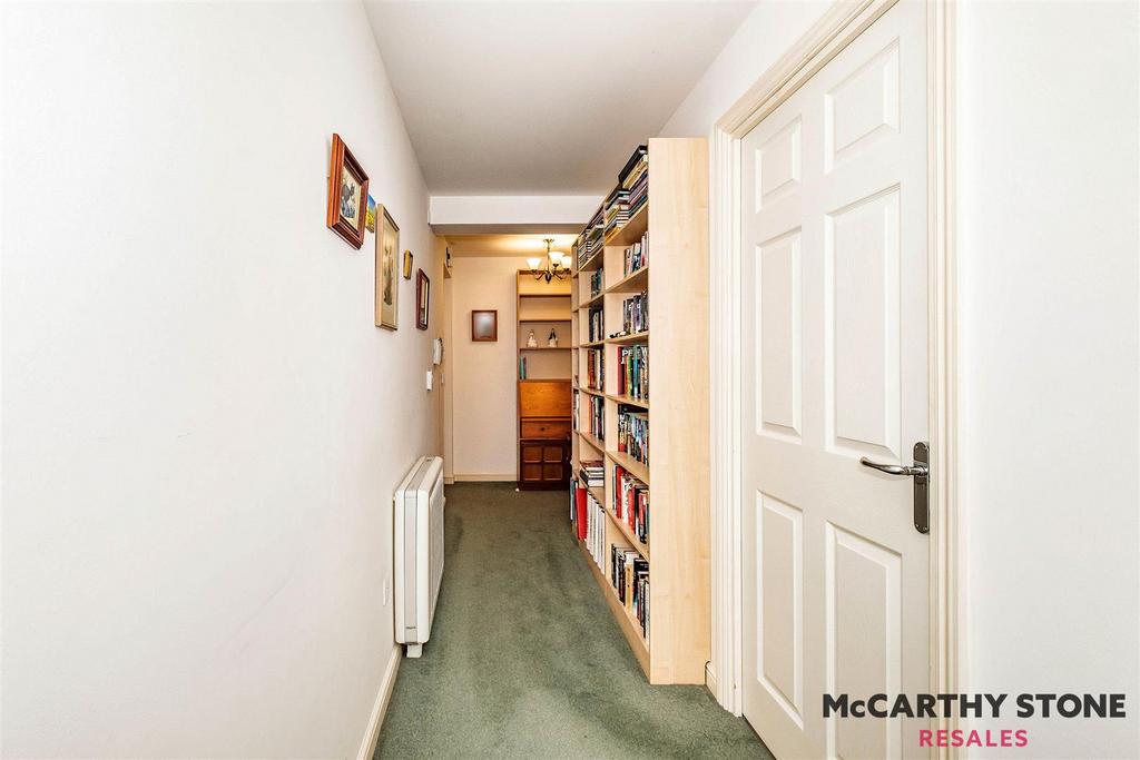 240619 24amelia-4.jpg