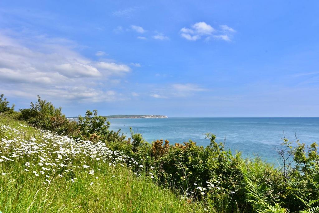 Views to Culver Down