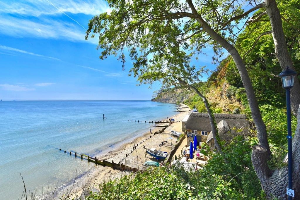 Shanklin Chine Beach