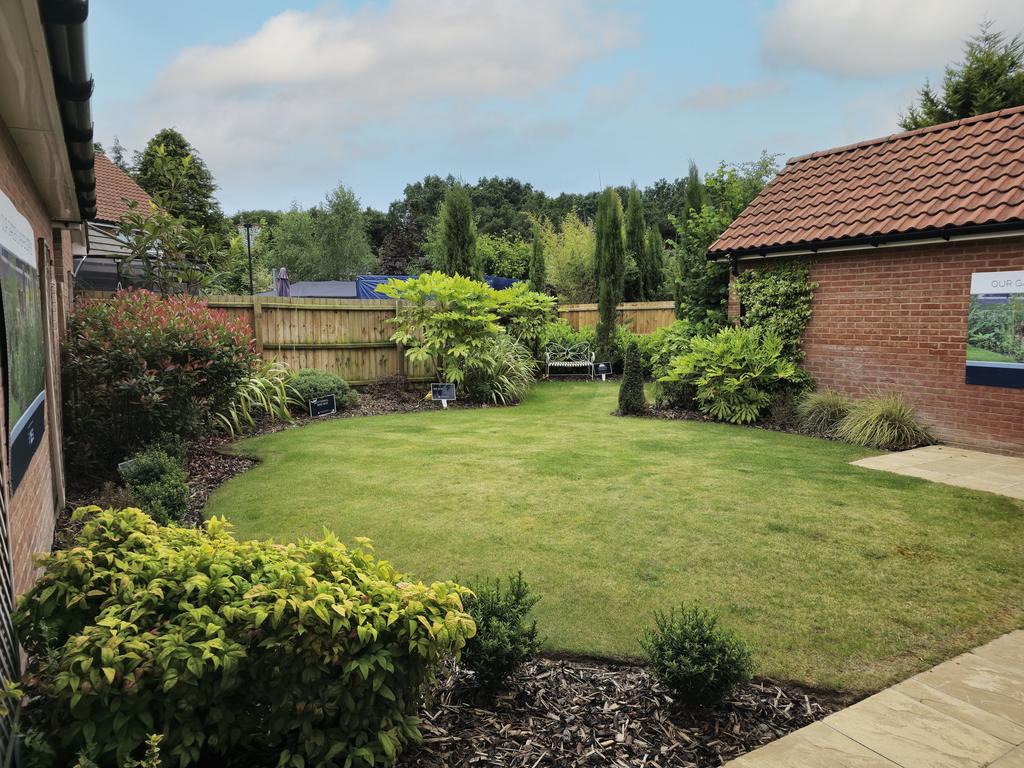 Kingfisher Meadow plot 2 rear garden
