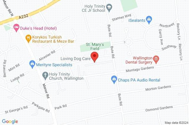 Google Maps Image