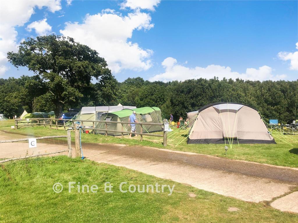 Lifestyle Camping