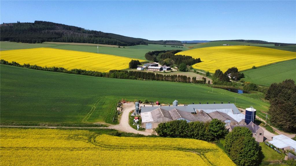 Drone Image