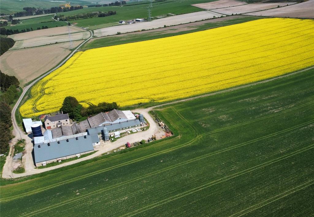 Drone Image