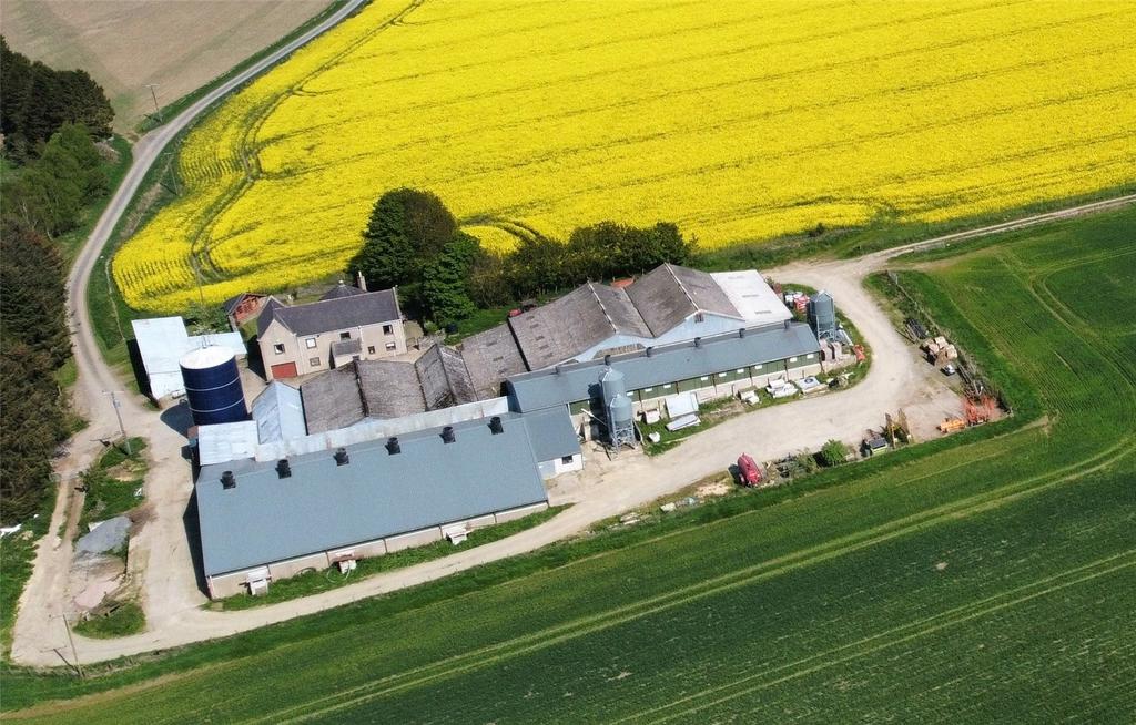 Drone Image