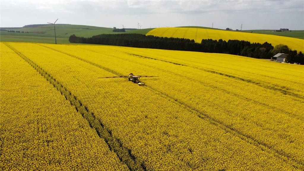 Drone Image