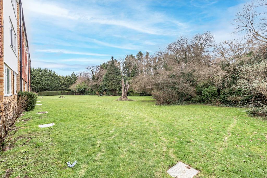 Picture No. 15