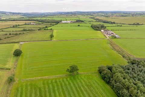 Farm for sale, Sunny Rigg Longtown Carlisle CA6 5PQ