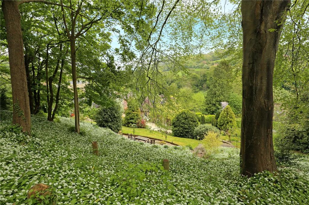 Wooded Area