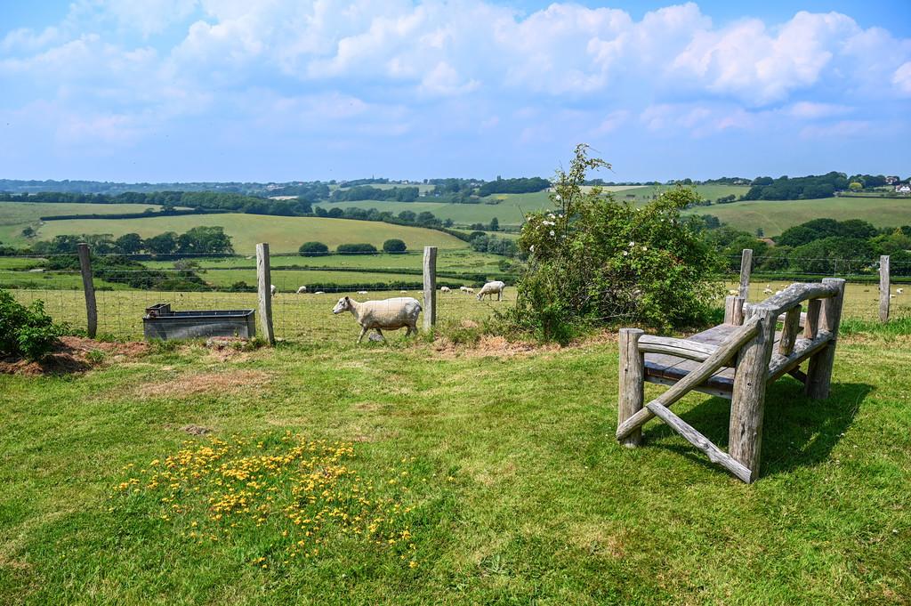 Curlew cottage tn35 (43)