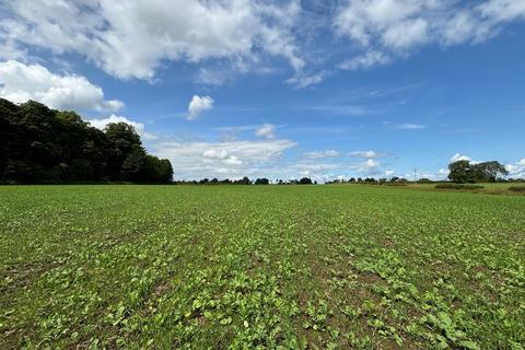 Land for sale, Land At High House Farm, Matfen, NE20 0RG