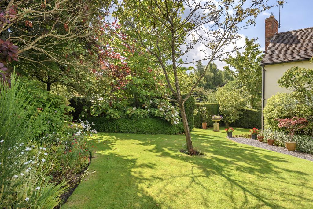 Garden 1