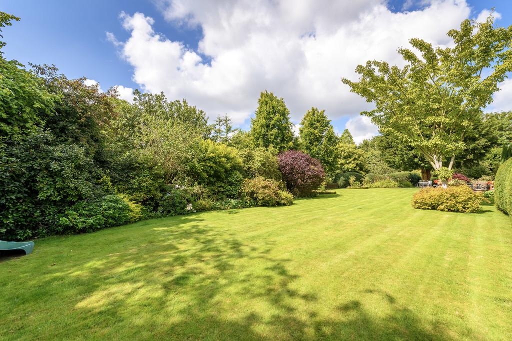 Garden 5