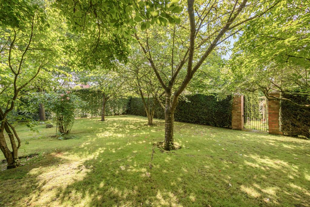 Woodland Garden
