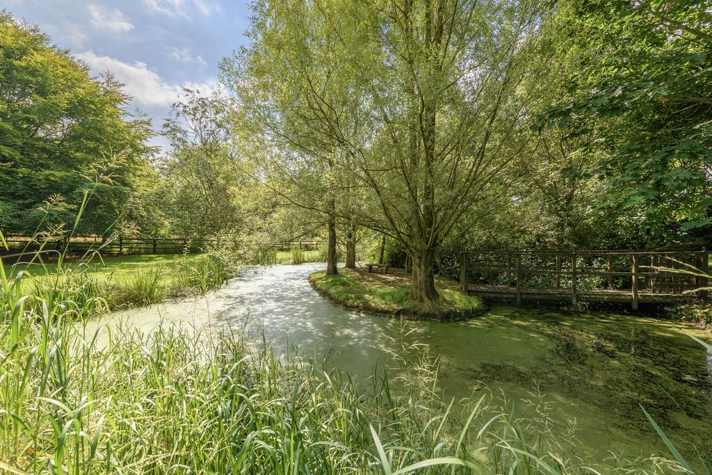 Wildlife Pond