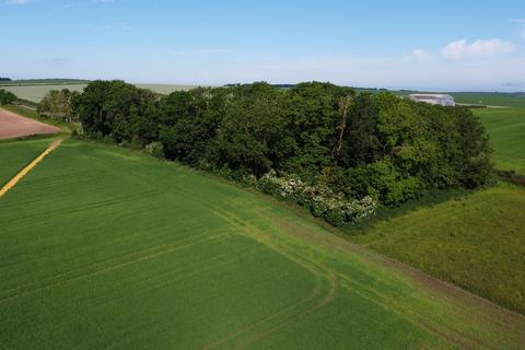 Land for sale, 16.74 acres of Arable Land and Woodland at Burwell, Louth