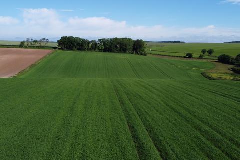 Land for sale, 16.74 acres of Arable Land and Woodland at Burwell, Louth